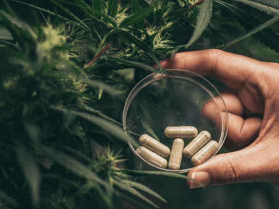 Will CBD Oil Trigger a Positive Drug Test?